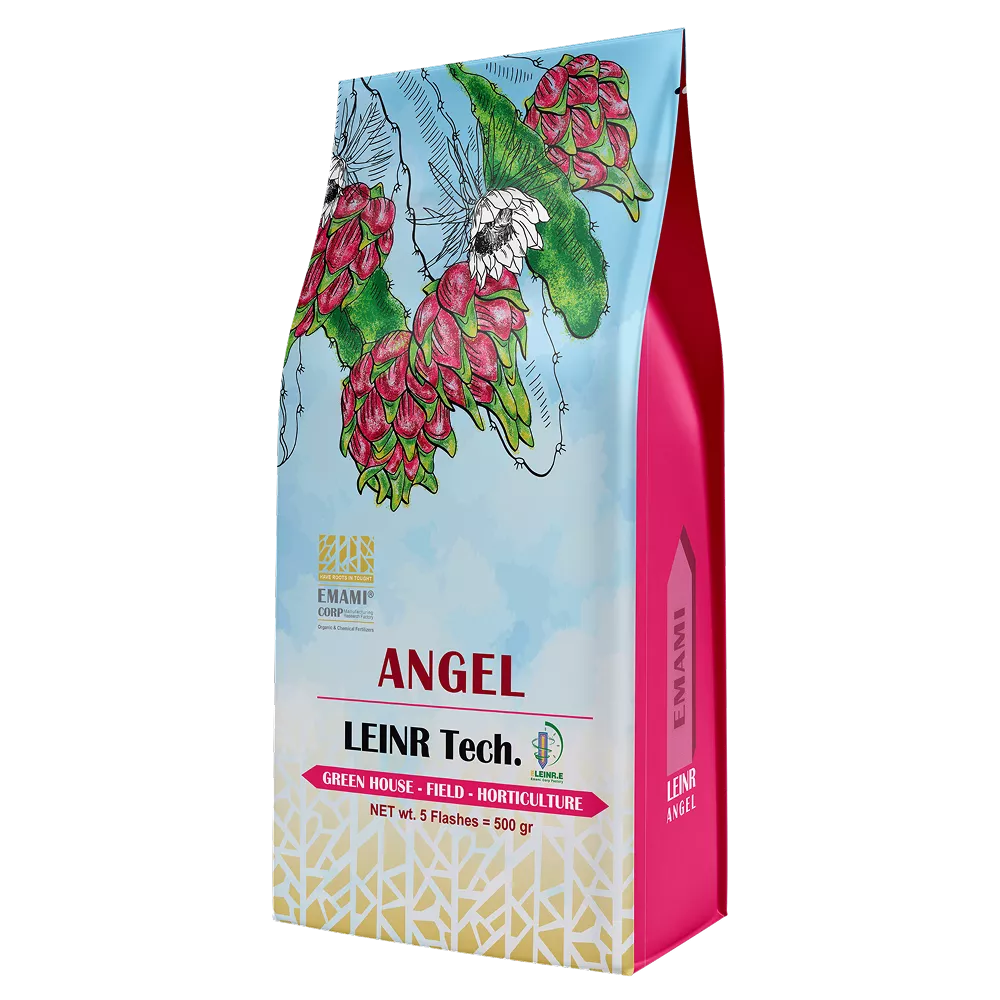 ANGEL