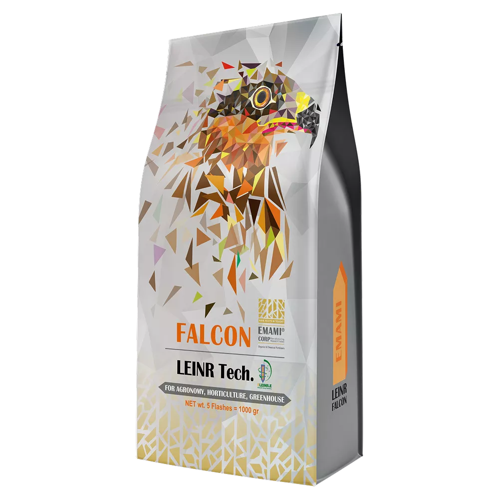 FALCON