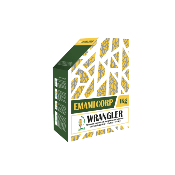رانگلر WRANGLER