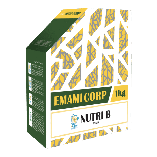 نوتری بی NUTRI B