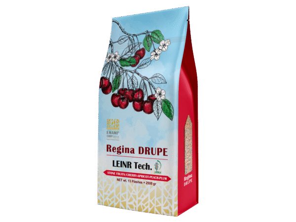 رژینا دراپ REGINA DRUPE