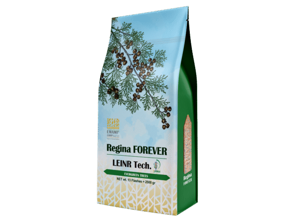 رژینا فوراِور REGINA FOREVER