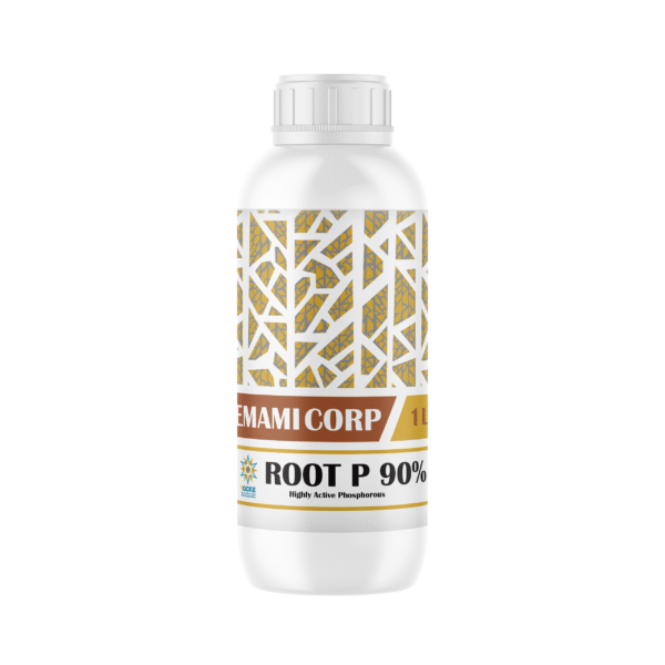 روت پی90 ROOT P90