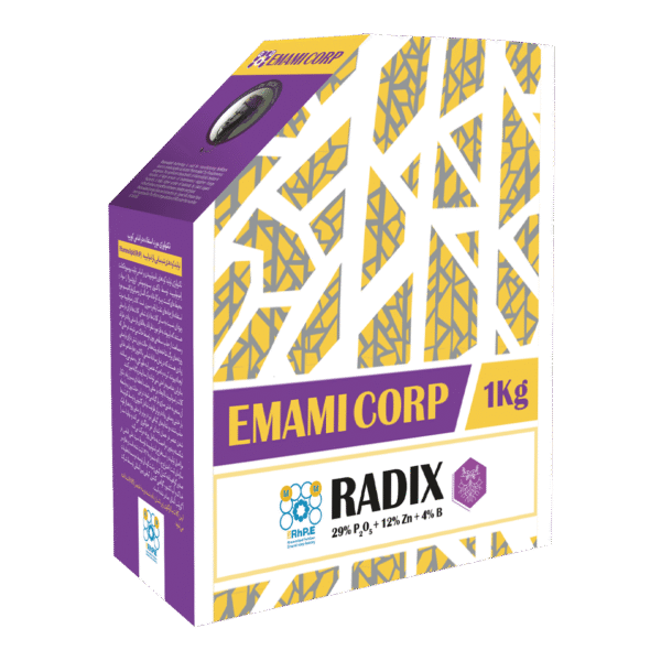 رادیکس RADIX