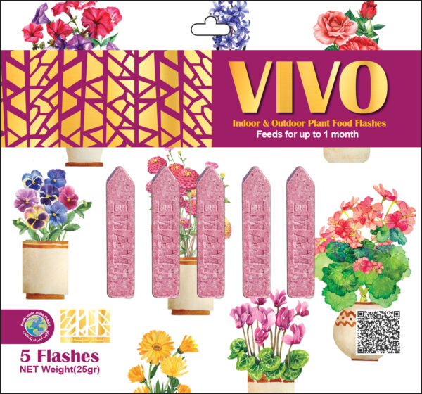 ویوو VIVO